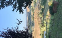 Foto ingevoerd door een huurder van Lajatico 602