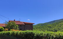 Foto ingevoerd door een huurder van La Casa del Nonno