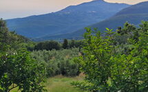 Foto ingevoerd door een huurder van Casale Fonte