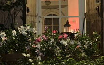 Foto ingevoerd door een huurder van La Casa dei Limoni, Camaiore, Pet Friendly, Wifi