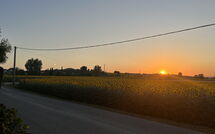 Foto ingevoerd door een huurder van Villa Cantagallo