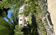 Foto ingevoerd door een huurder van Villa Finca Labranza