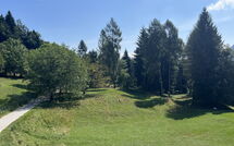 Foto ingevoerd door een huurder van Alpe