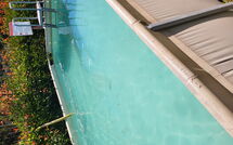 Foto ingevoerd door een huurder van Villetta Luciana