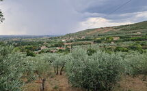 Foto ingevoerd door een huurder van San Eusebio