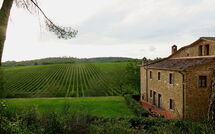 Foto ingevoerd door een huurder van Villa Il Prato