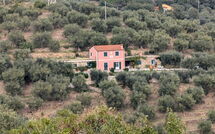 Foto ingevoerd door een huurder van Il Terebinto (Imp427)