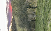 Foto ingevoerd door een huurder van Sole nel Prato