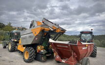 Foto ingevoerd door een huurder van Sole nel Prato