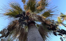 Foto ingevoerd door een huurder van Villa Rosa