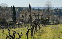 Foto ingevoerd door een huurder van Dependance di Villa Magna