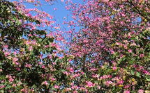 Foto ingevoerd door een huurder van Torremolinos 27