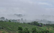 Foto ingevoerd door een huurder van Pozzo dei Desideri