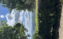 Foto ingevoerd door een huurder van Casolare Ser Chelino