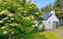 Foto ingevoerd door een huurder van The Cottage
