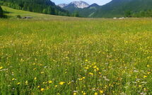 Foto ingevoerd door een huurder van Chalet Bodental 28