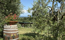 Foto ingevoerd door een huurder van Il Campanile