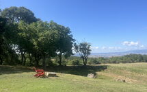 Foto ingevoerd door een huurder van Villa Il Troscione