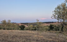 Foto ingevoerd door een huurder van Fattoria le Chianacce