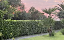 Foto ingevoerd door een huurder van Cala Marina