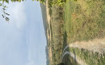 Foto ingevoerd door een huurder van Cuccardino