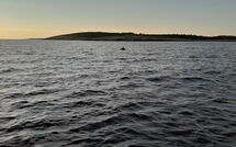 Foto ingevoerd door een huurder van Rovere