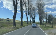 Foto ingevoerd door een huurder van La Sorgente