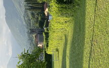 Foto ingevoerd door een huurder van Verde Versilia