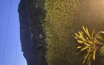 Foto ingevoerd door een huurder van Verde Versilia