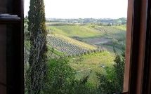 Foto ingevoerd door een huurder van Certaldo