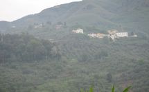 Foto ingevoerd door een huurder van Podere Centone