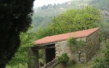 Foto ingevoerd door een huurder van Podere Centone