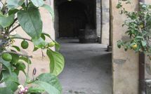 Foto ingevoerd door een huurder van Podere Centone