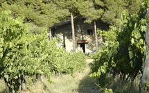 Foto ingevoerd door een huurder van Montescalari