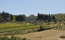 Foto ingevoerd door een huurder van Contessa di Gaiole