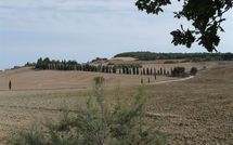 Foto ingevoerd door een huurder van Casali Dell Osteria