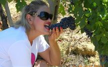 Foto ingevoerd door een huurder van Podere Il Doccio