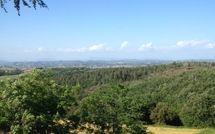 Foto ingevoerd door een huurder van Villa Isabella