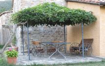 Foto ingevoerd door een huurder van Casa la Primula