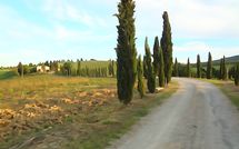 Foto ingevoerd door een huurder van Borgo Tollena