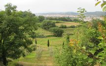 Foto ingevoerd door een huurder van Villa Carolina