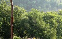 Foto ingevoerd door een huurder van Fattoria Buonconvento