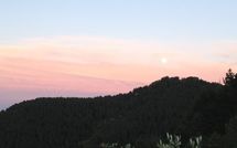 Foto ingevoerd door een huurder van Al Mennucci