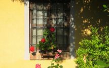 Foto ingevoerd door een huurder van Limoni