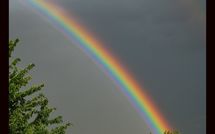 Foto ingevoerd door een huurder van Limoni