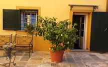 Foto ingevoerd door een huurder van Flavia