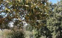 Foto ingevoerd door een huurder van Casa Felice