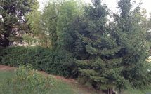 Foto ingevoerd door een huurder van Civetta