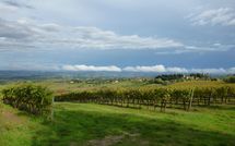 Foto ingevoerd door een huurder van Podere degli Olivi