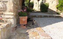 Foto ingevoerd door een huurder van Borgo del Castagno